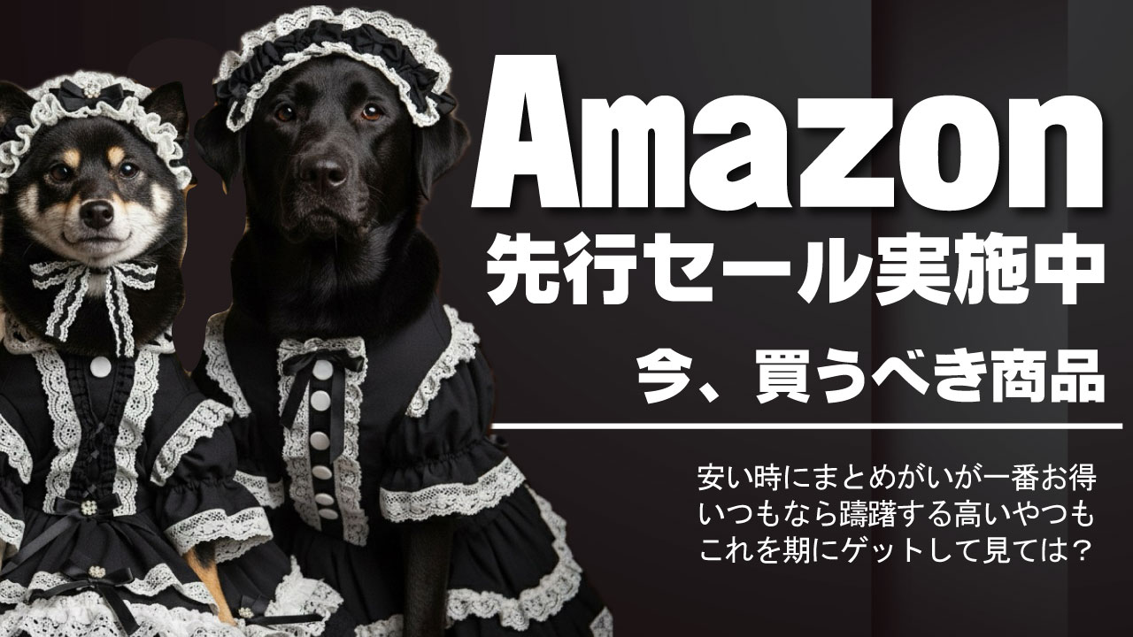 2025年版】Amazonプライム感謝祭で犬グッズを安く買う方法｜人気アイテム厳選！ | ぬわんこ助六の快適ドッグライフ